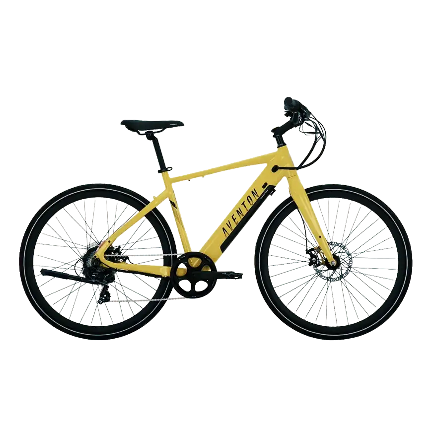 Hybrid Electric Bikes